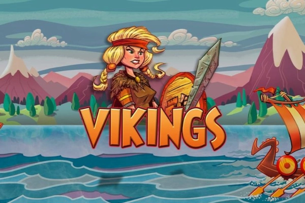 08582 vikings