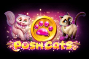16289 posh cats