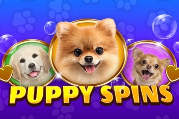 22899 puppy spins